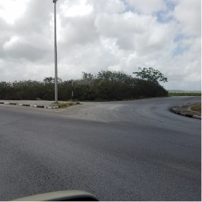 coral ridge before 5