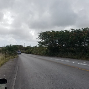 coral ridge before 7
